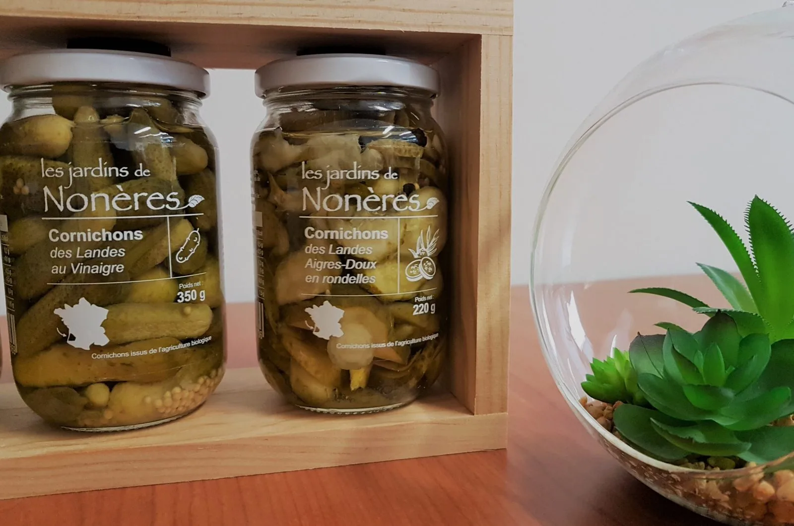 cornichons jardins de noneres©OTCA Mont de Marsan Agglo (4)