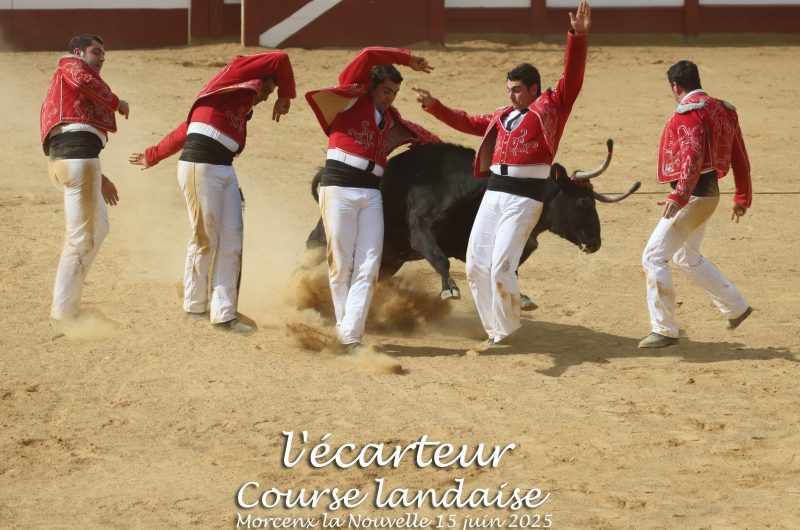 couse landaise @paulvignier