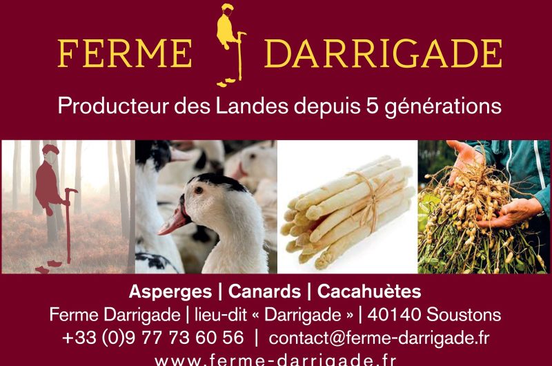 darrigade-ultime