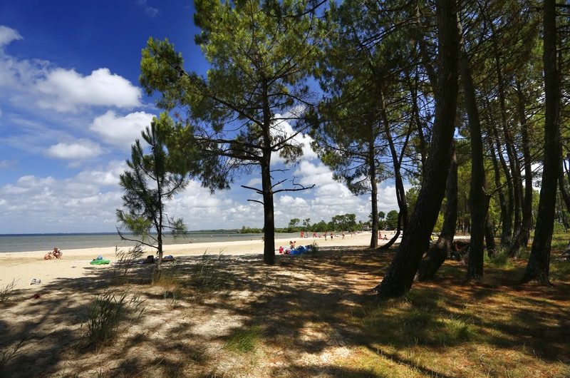 etang-de-biscarrosse