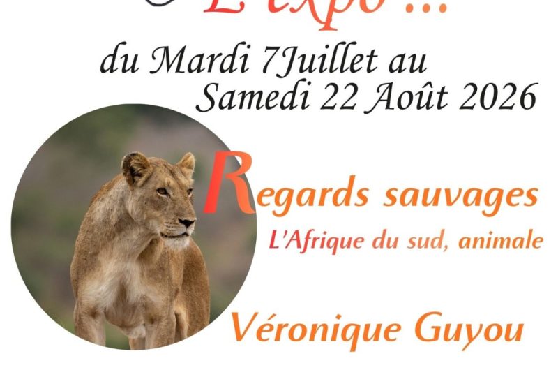 expos 2026 – 2