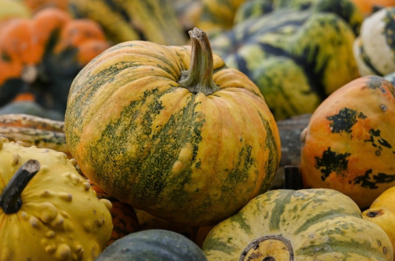 Retouches visuels Tourinsoft animations – foire-courge-st-martin