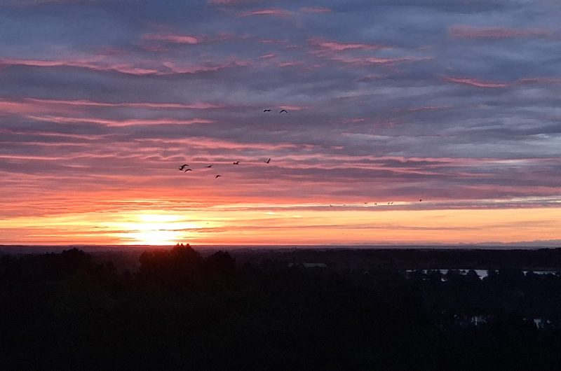 grues coucher
