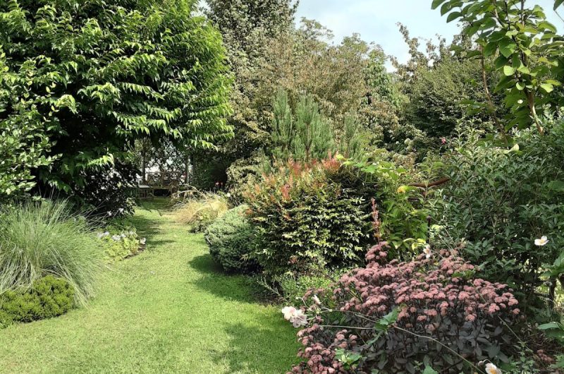 jardin  MARGUERITE CLNT 2024 (2)