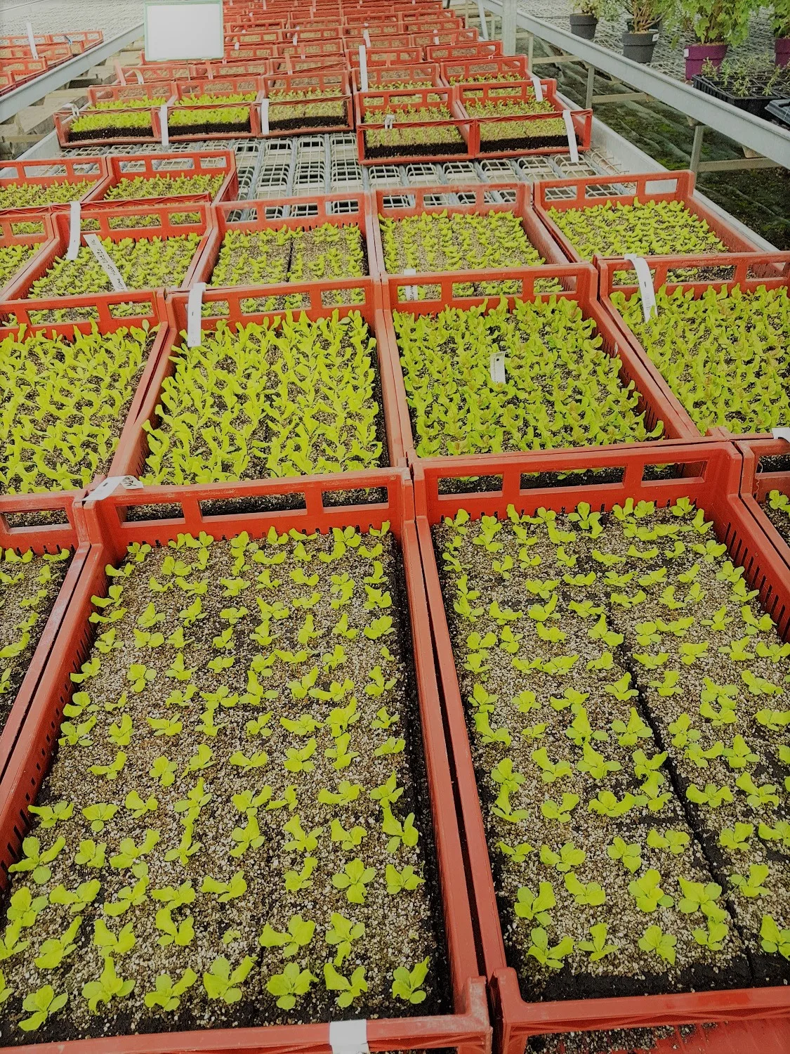 jardins de noneres2020R©OTCA Mont de Marsan Agglo (29)