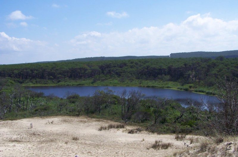 kg mailloueyre 2011 (1)