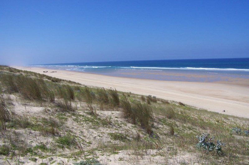 kg mailloueyre 2011 (52)