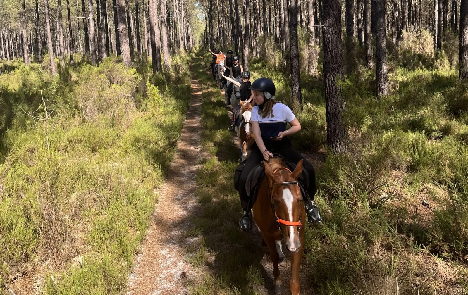 les-ecuries-de-l-hacienda-rando-cheval