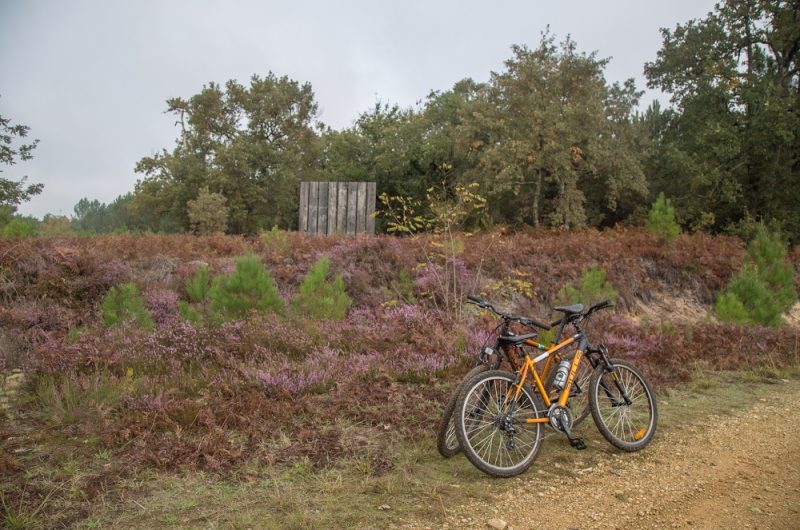 oeuvre 02 public Alain Domagale, Aux Impétueuses manoeuvres de l’imprevu, Garein 2011. programmation Laurent Le Deunff crédit photo Palaric (3)