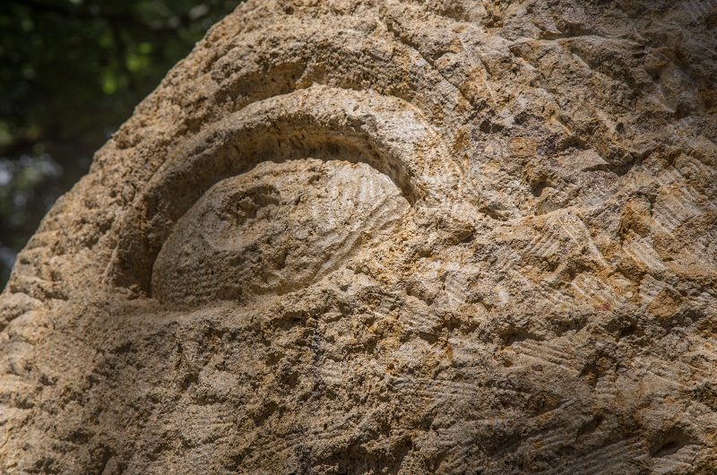 oeuvre 22 Stefan Rinck, Saint Georges et son dragon de compganie, Bélis 2020. programmation Irwin Marchal. crédit photo Palaric (1)