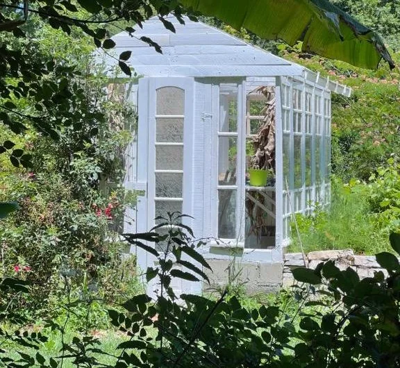 parc-chambres-hotes-felicita-saint-barthelemy3