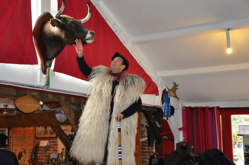 photo berger-échasses et vache