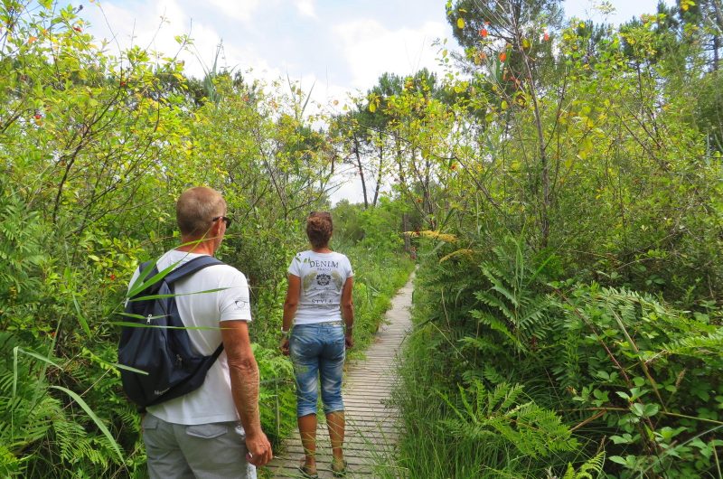 réserve naturelle étang noir 2015 ©seignossetourisme (19)