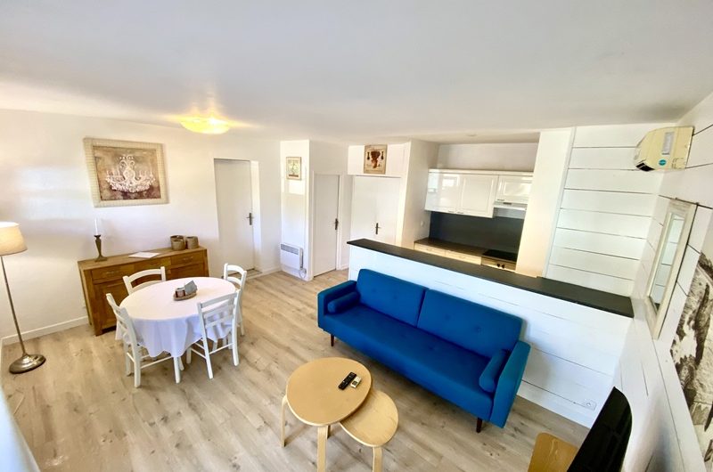 salon appartement 12