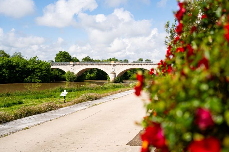 saubusse_printemps_2025©Landes Atlantique Sud-1