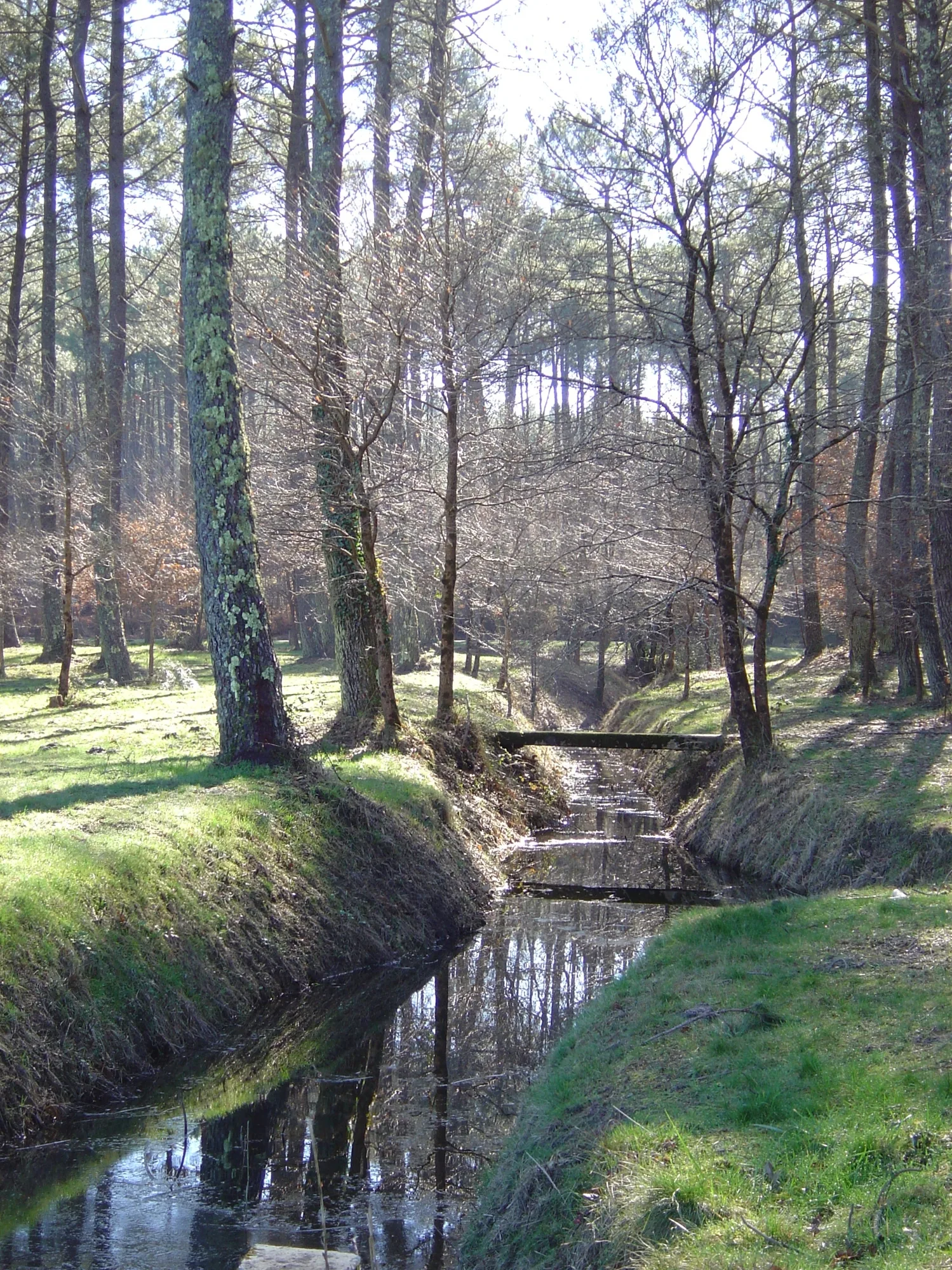 A Bias, sentier pédestre «L’Etang du Bourg Vieux»