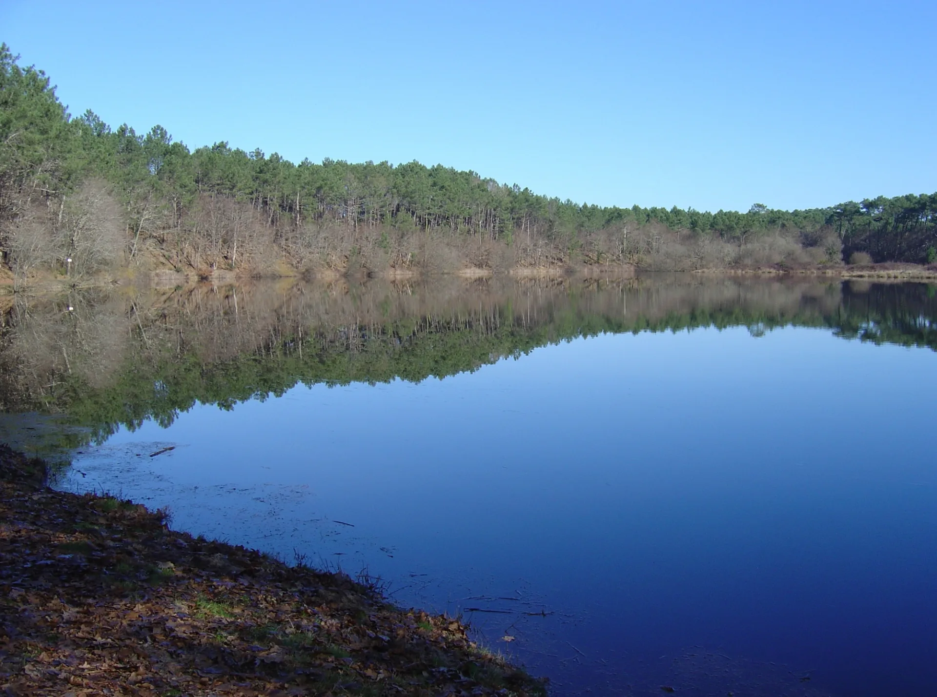 A Bias, sentier pédestre «L’Etang du Bourg Vieux»