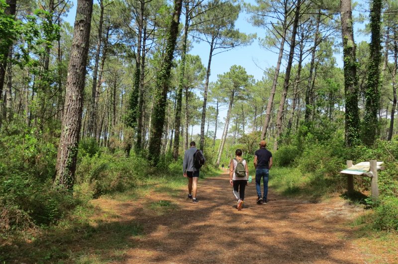 Le circuit rose des plages