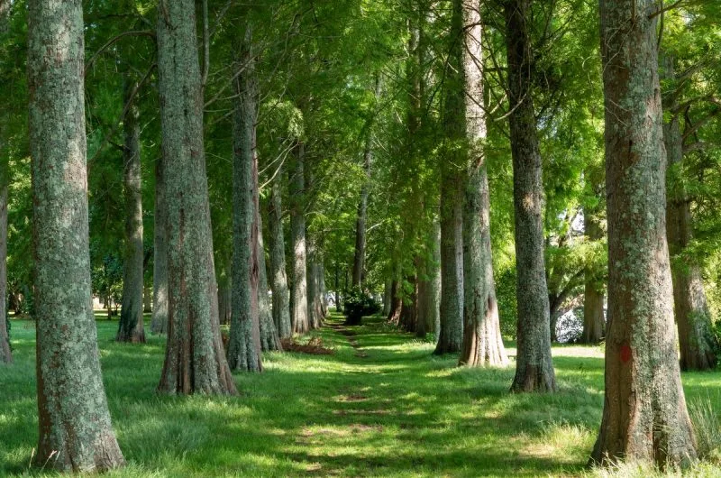 soustons-pointe-vergnes@antoine (2)