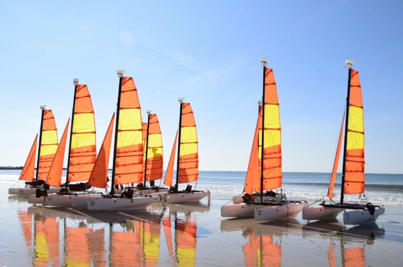 photo activité – Darwinn