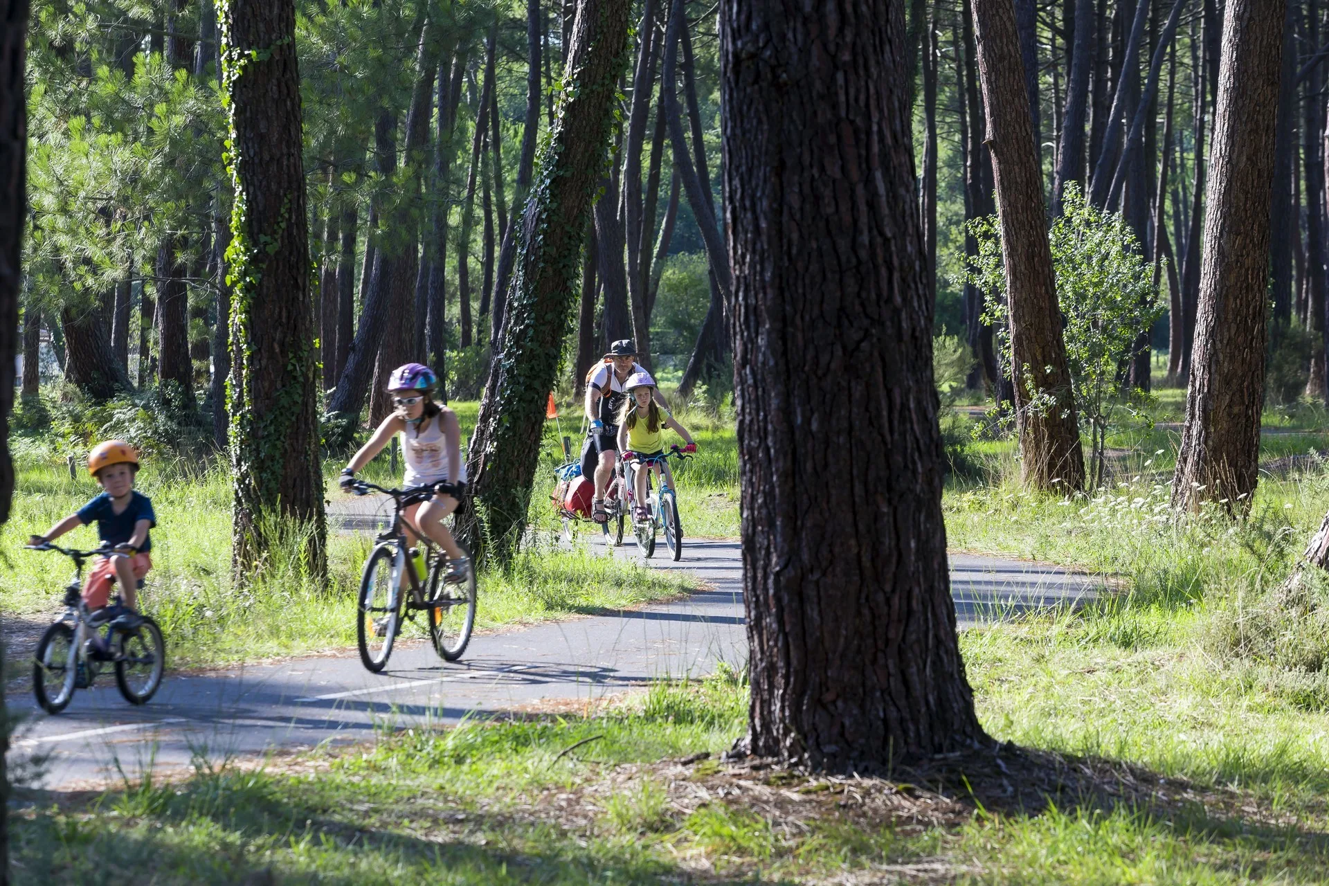 velo-pistes-cyclables-foret-bisca