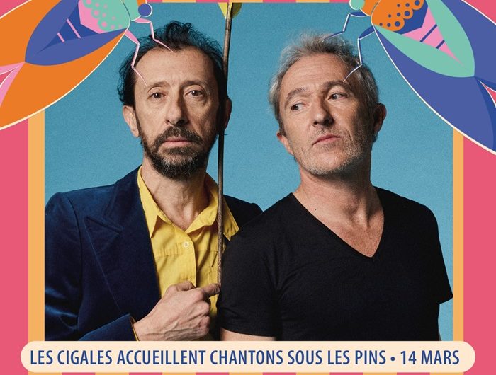 vignettes-festik5 copie