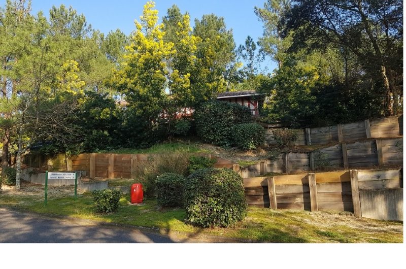 villa les 3 pins Moliets Landes Atlantique Sud (8)