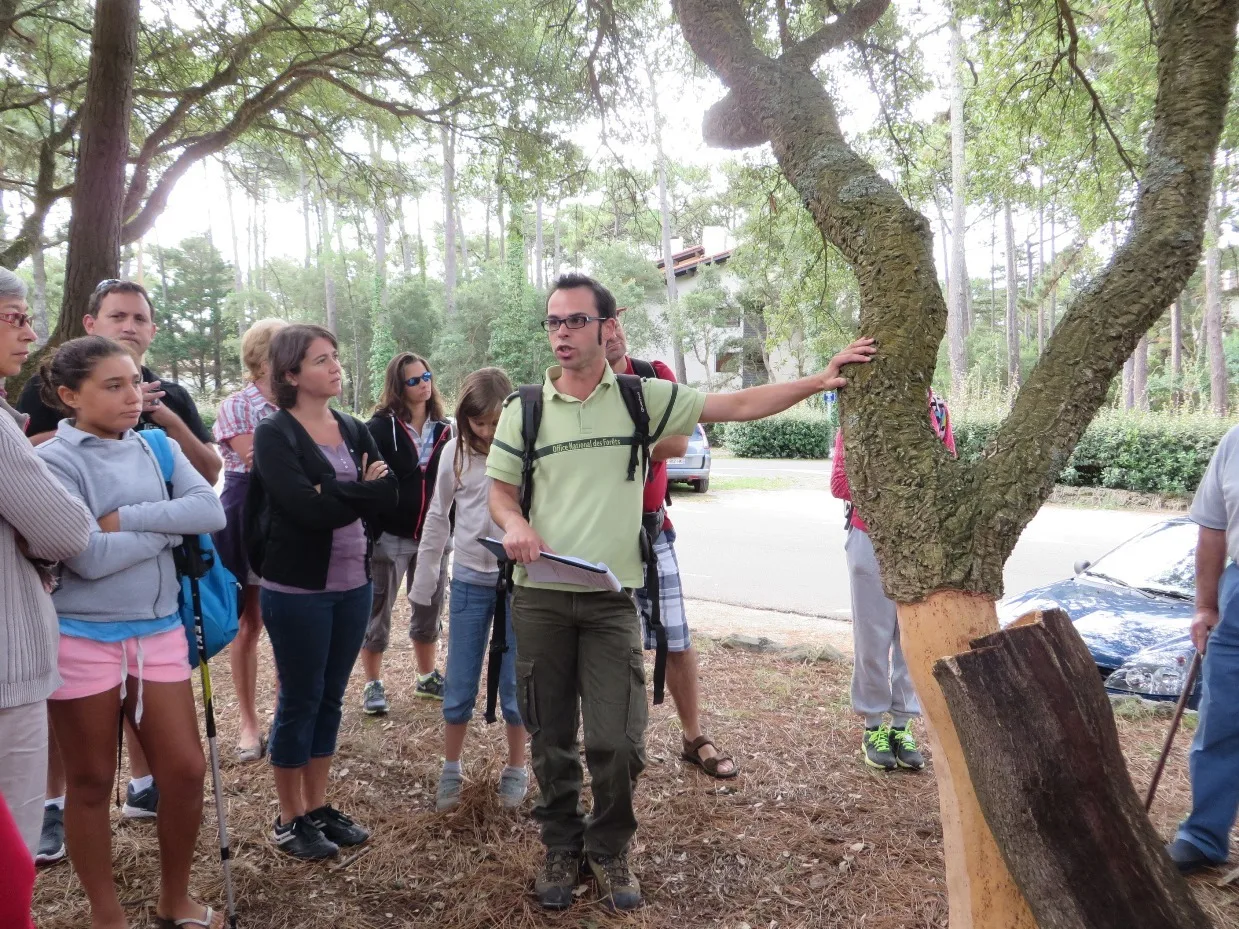 visite guidée nature à Seignosse