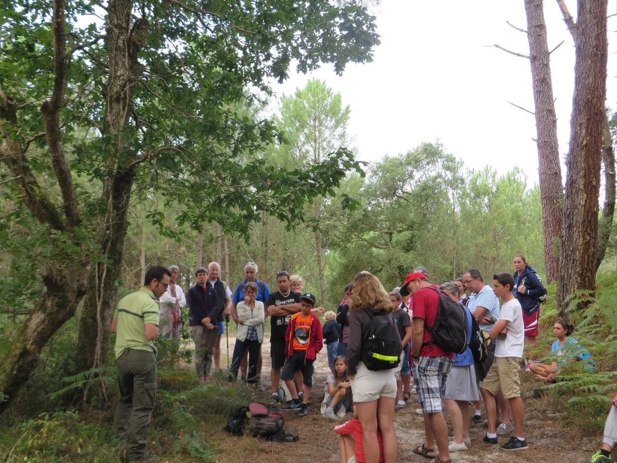 visite guidée nature à Seignosse