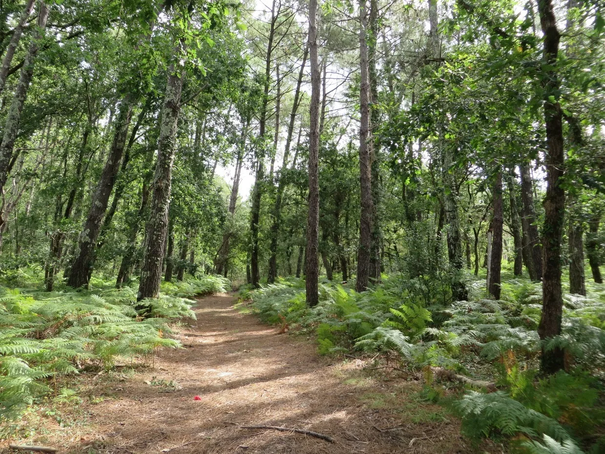 visite guidée nature à Seignosse